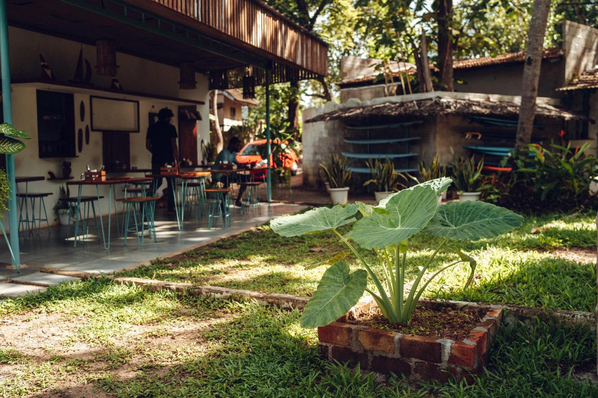 瓦尔卡拉Paddlecult Surf Retreat住宿加早餐旅馆 外观 照片