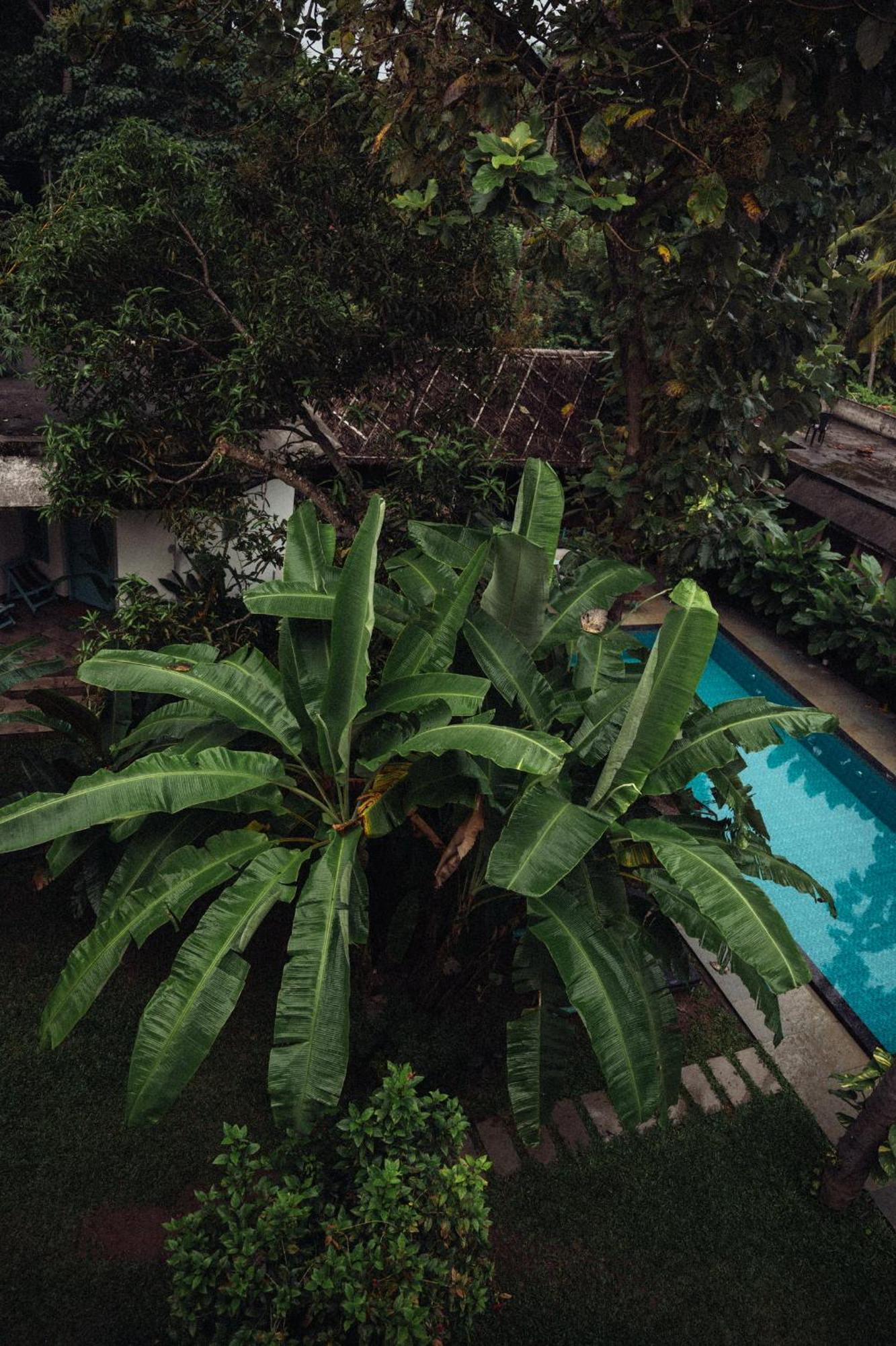 瓦尔卡拉Paddlecult Surf Retreat住宿加早餐旅馆 外观 照片